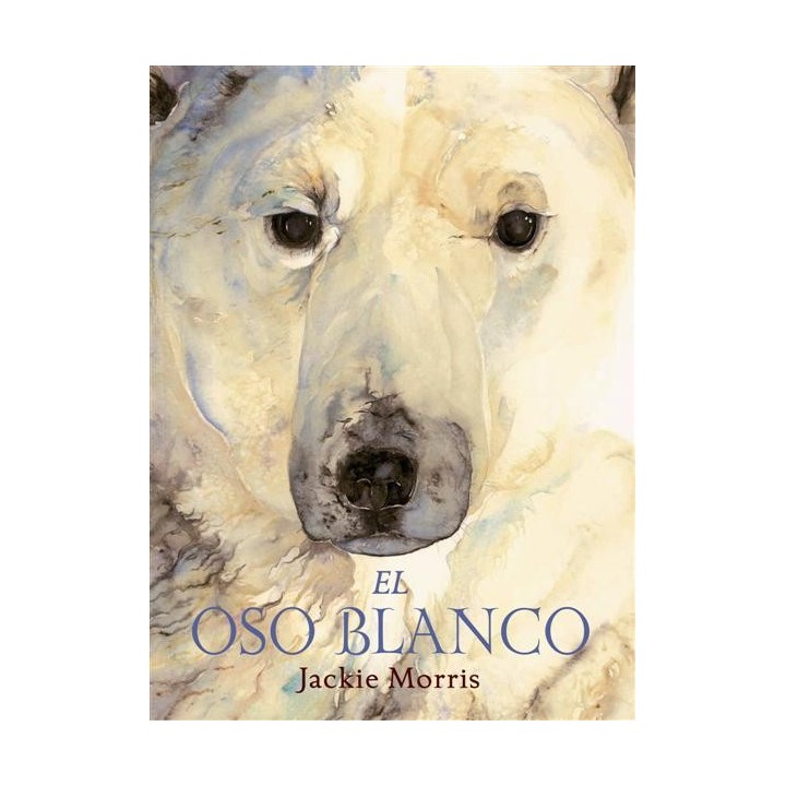 El oso blanco.