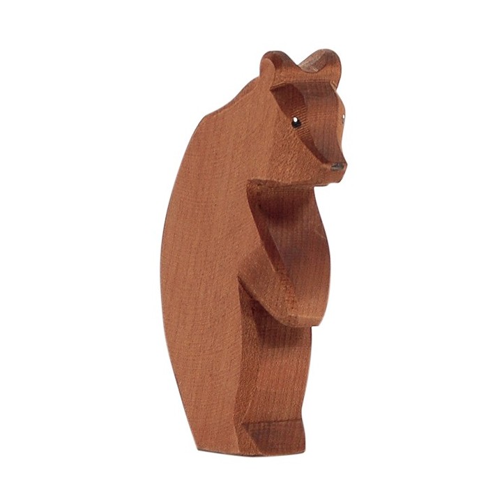 Oso pardo grande, cabeza bajada.