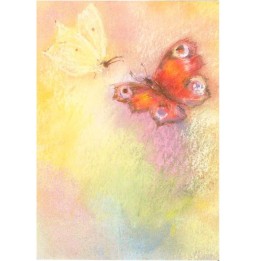 Postal - Mariposas.