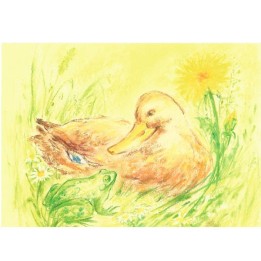 Postal de Pato con Rana