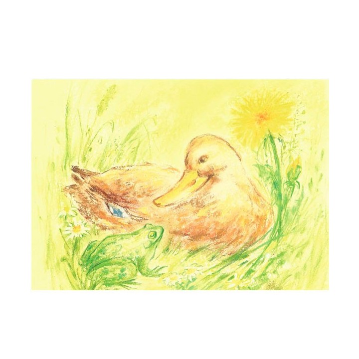 Postal de Pato con Rana