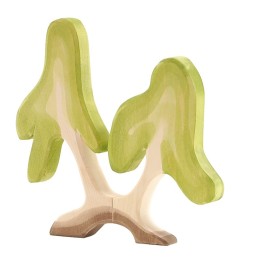 Abedul de madera