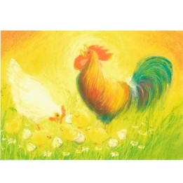 Postal - Gallo, gallina y  pollitos.