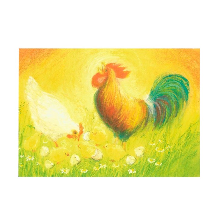 Postal - Gallo, gallina y  pollitos.