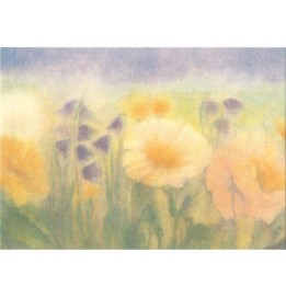 Postal Flores del campo
