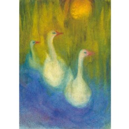 Postal Cisnes 