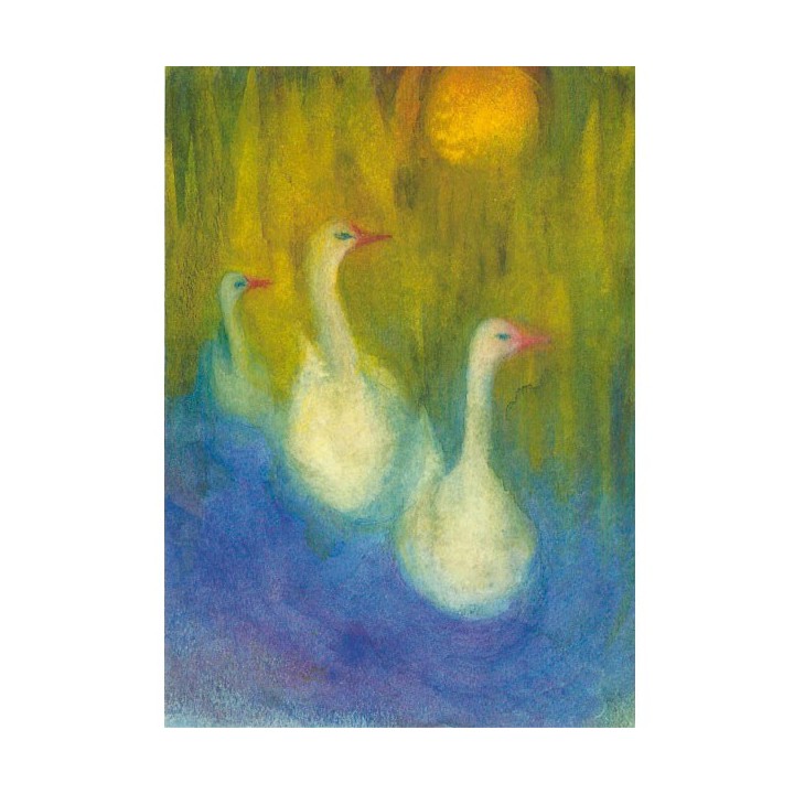 Postal Cisnes 