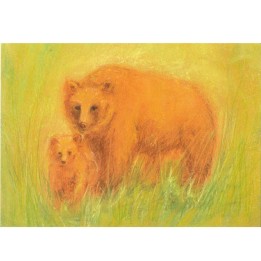 Postal Osos