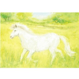 Postal - Caballo.