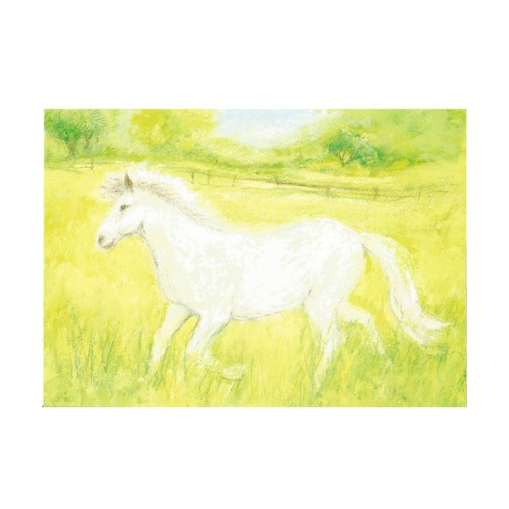 Postal - Caballo.