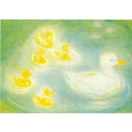 Postal Patos