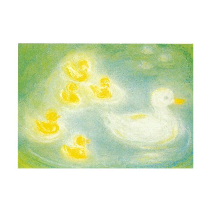 Postal Patos