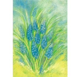 Postal - Jacinto de Uvas.