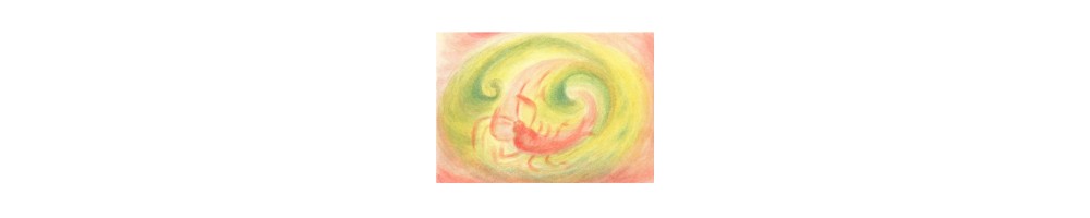 Los signos del zodiaco