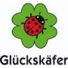 Glückskäfer
